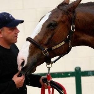 Meet your Posher, Glenn